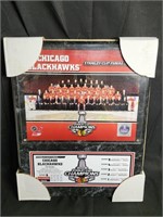 Chicago Blackhawks Stanley Cup Champions Plaque
