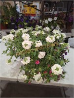 Large Flower Hanging Basket