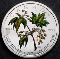 Canada $5 Colored Silver Maple Leaf 2003