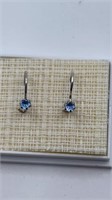 Blue Stone Earrings