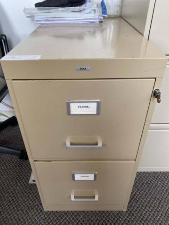 2-Drawer Metal File Cabinet