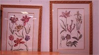 Two large framed botanicals: one