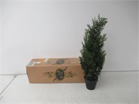 Nearly Natural 2ft. Mini Cedar Pine