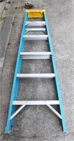 Werner 6ft Metal Ladder