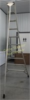 Ladder 10ft