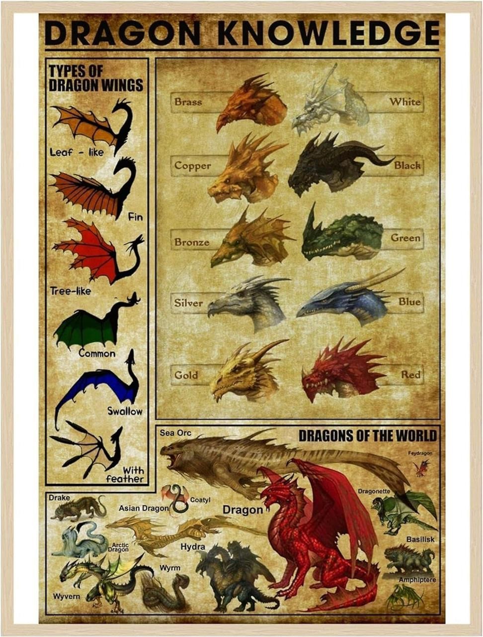 Dragon Knowledge Collection Fanart Vintage Poster