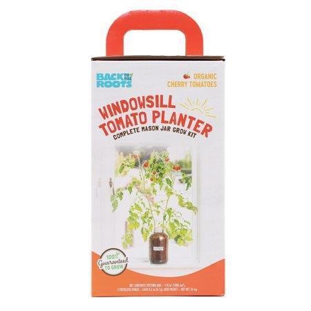 Windowsill Organic Cherry Tomato Grow Kit