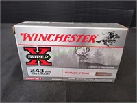 Winchester 243Win 100gr Power Point, 20ct