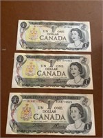 3 one dollar Canadian bills unused