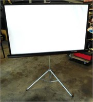 Overhead Projection Screen/Projector (Like New)