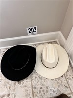 2 Cowboy Hats(Entry)