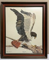 Redtail Hawk Print Signed by Gene Gray (1973)