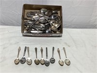 Silverware Spoons