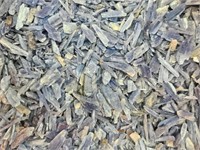 Natural Blue Kyanite Blades 55.8 Lbs