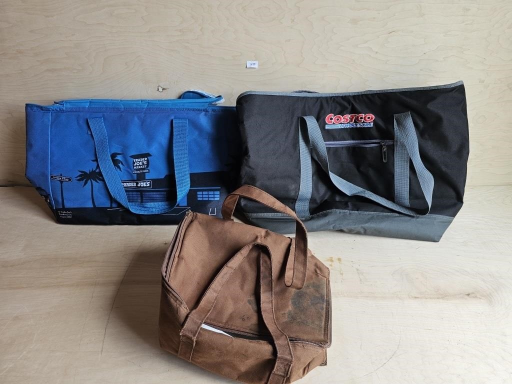 (Lot of 3) Fabric Cooler Bags