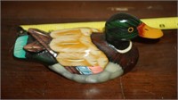 Duck 1089 Hawaii