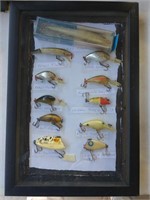 Fishing Lure Display Box with (11) Lures 10.5" x
