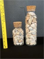2 Containers Full of Shells