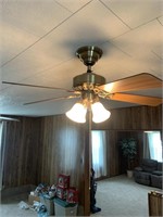 2 Hunter ceiling fans in family room