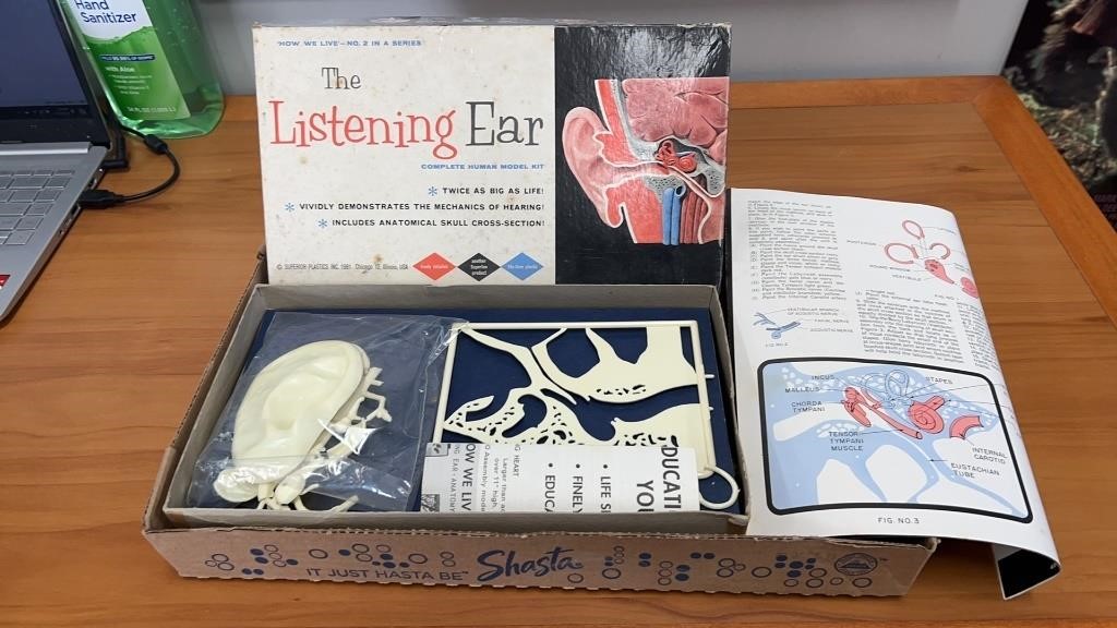 The Listening Ear model kit