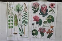 PLANT AND FLOWER WALL HANGINGS