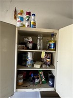 Items in Garage Cabinet