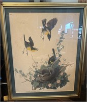 Framed Audubon bird print