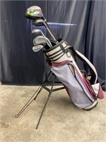 Golf Clubs with Case
