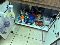 Cabinet of cleaning supplies - Mr. Clean, All natu