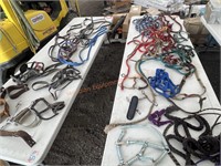 Assorted Horse Tack