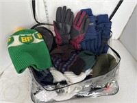 Lot of toques, gloves, scarves