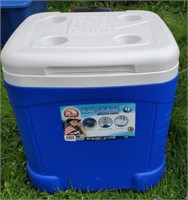 Blue Igloo cooler