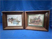 Framed Duck Prints'