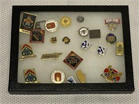 24 pcs. Vintage Pins in Display Case