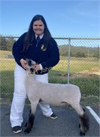 Gabby Giraud, McKinleyville FFA, Market Lamb