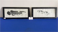 A PAIR OF JAPANESE SIGNED FISH PRINTS