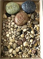 Rock garden