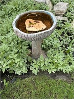 Bird Bath / Feeder