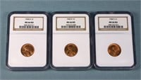 (3) NGC MS66 RD Wheat Cents