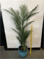 4 Ft. Artifical Palm Tree in Turquoise Planter