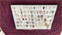 Assortment of Arrowheads 
Found by Sangamon