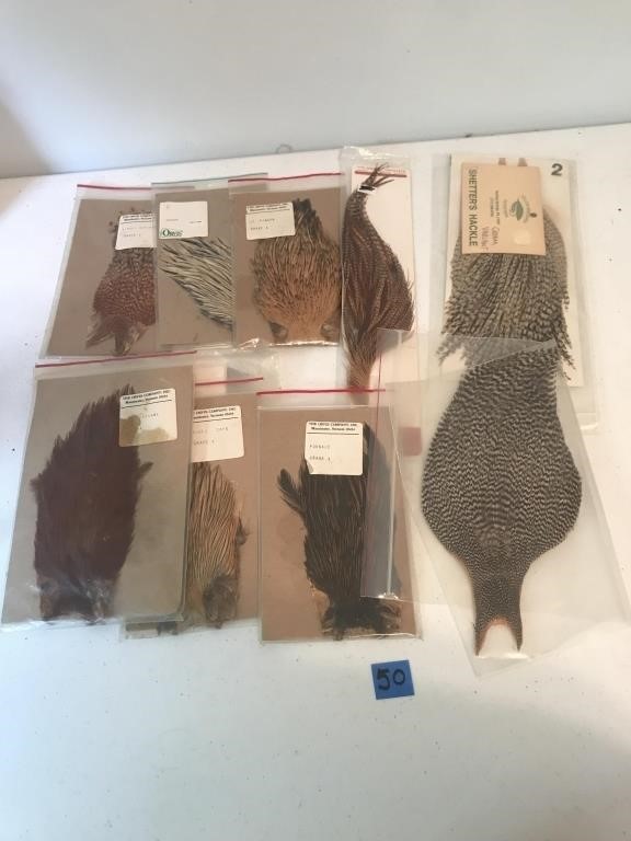 Lot of Various Feathers