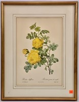 French print - Yellow Roses - 17" x 21"