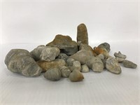 Collection of fossil rocks from Michigan