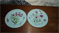 Pair of Decorative Plates with Flowers