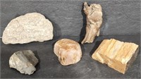 Collection of Natural Stones & Petrified Wood