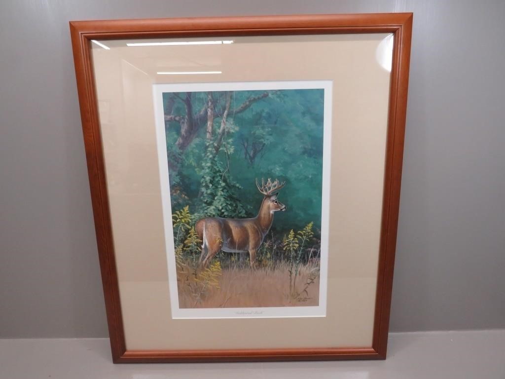 Framed limited edition print, “Goldenrod Buck” by