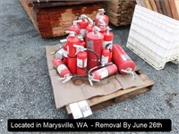 LOT, ASSORTED FIRE EXTINGUISHERS ON THIS PALLET