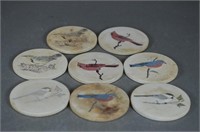 8 Bird Coasters