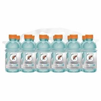 Gatorade Frost Artic Blitz 12 Oz Bottle (Pack 23)
